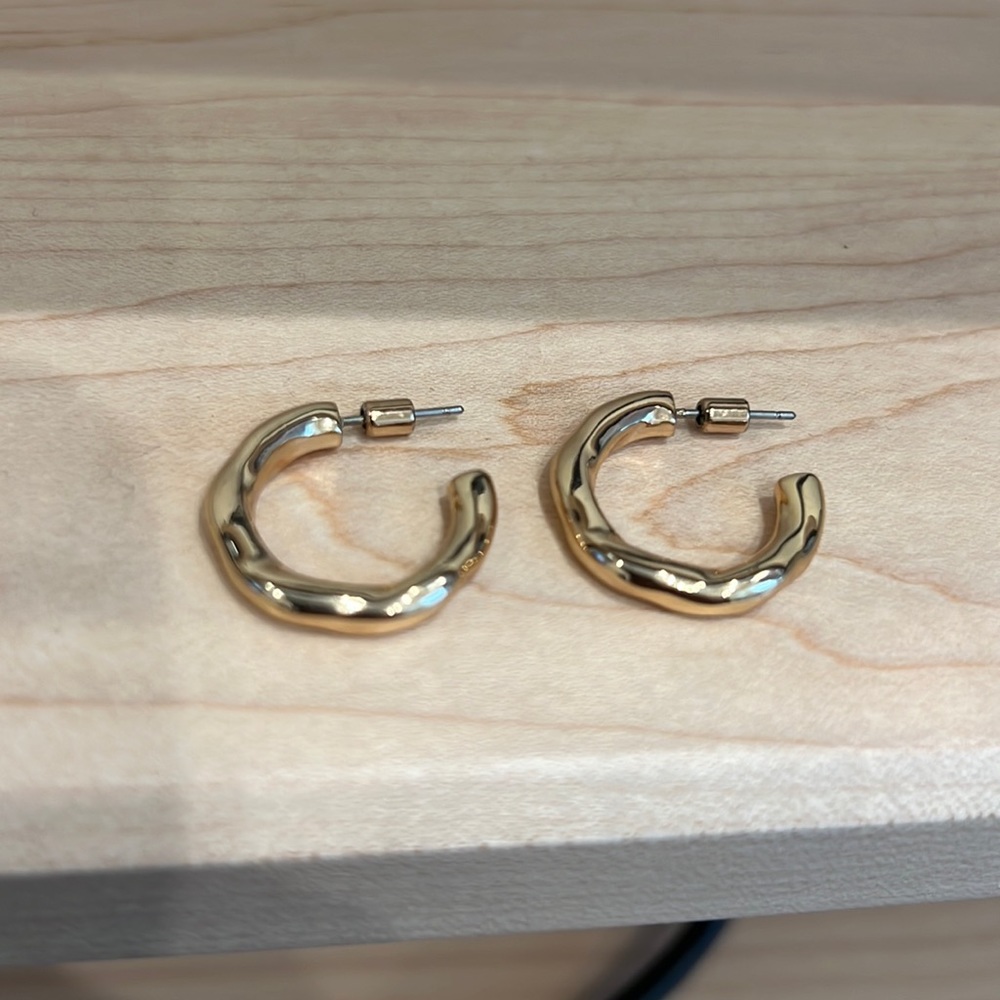Gold Vermeil Hoops (brand unknown), worn once
